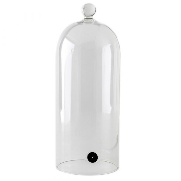 Glass Campanula with Valve 10/0034: Elegant floral decor piece with intricate detailing, ideal for home decor - buy now!