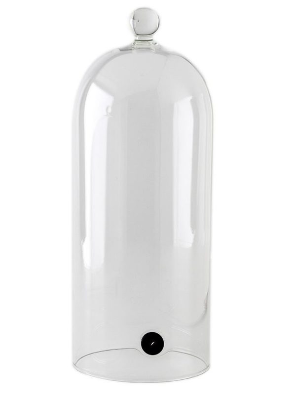 Glass Campanula with Valve 10/0034: Elegant floral decor piece with intricate detailing, ideal for home decor - buy now!