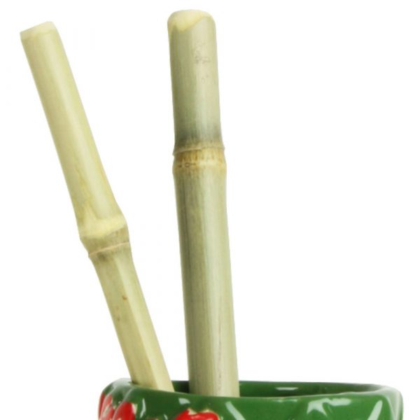 Reusable and Eco-Friendly Bamboo Straw for Sustainable sipping | Online Store