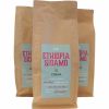 Indulge in the rich and smooth flavors of Ethiopian Sidamo Cream - a premium, single-origin coffee perfect for your daily brew.